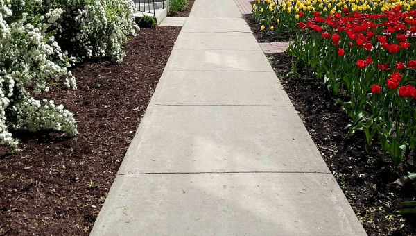 Cost of Cement Sidewalk Installation in Jersey City
